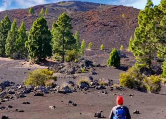 Vakantiehuis La Fortaleza